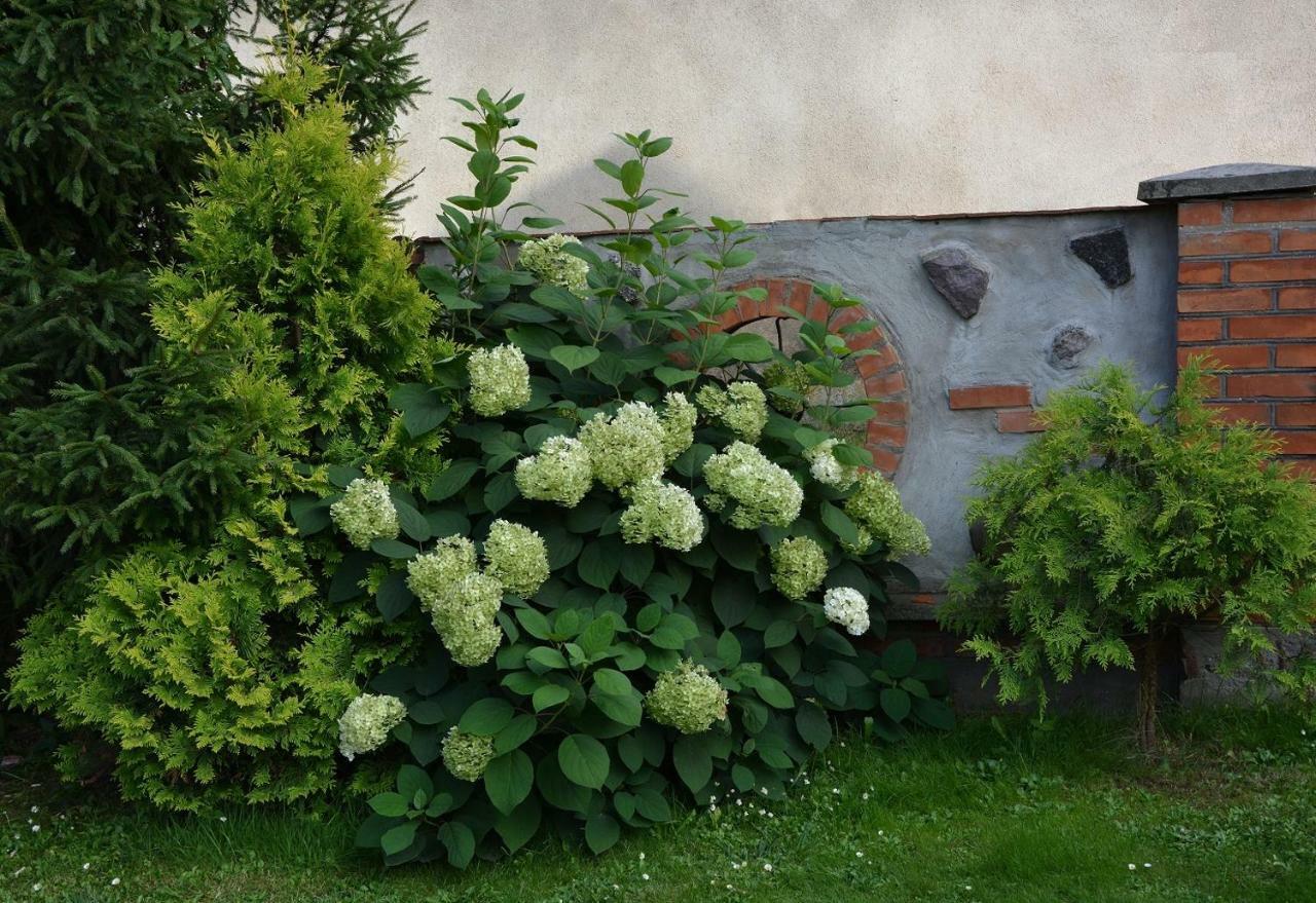 Agro Przy Kominku Rozogi Zewnętrze zdjęcie